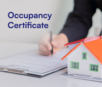 Understanding Occupancy Certificates for Property Investors